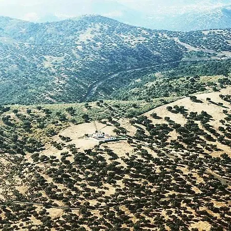 Dehesillas Casa de Campo *